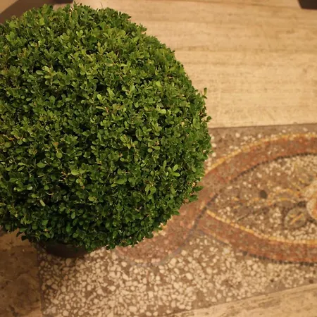 Casa de hóspedes Millina In Navona 4*
