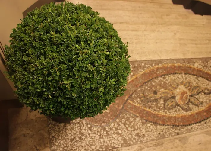 Pensión Millina In Navona 4*